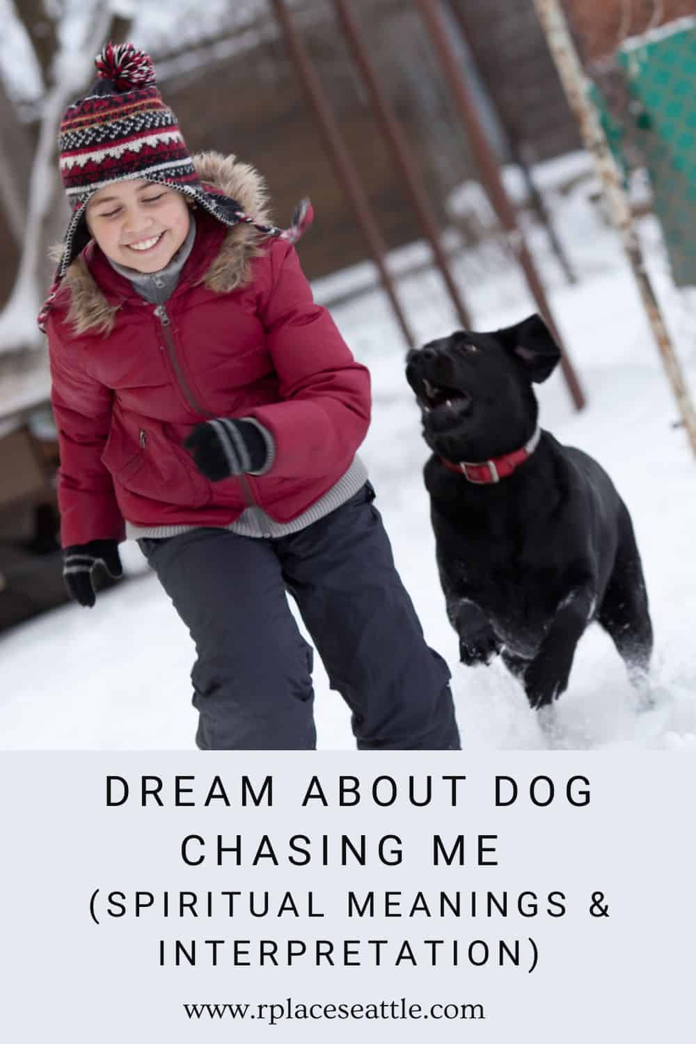 Dream About Dog Chasing Me (Spiritual Meanings & Interpretation)