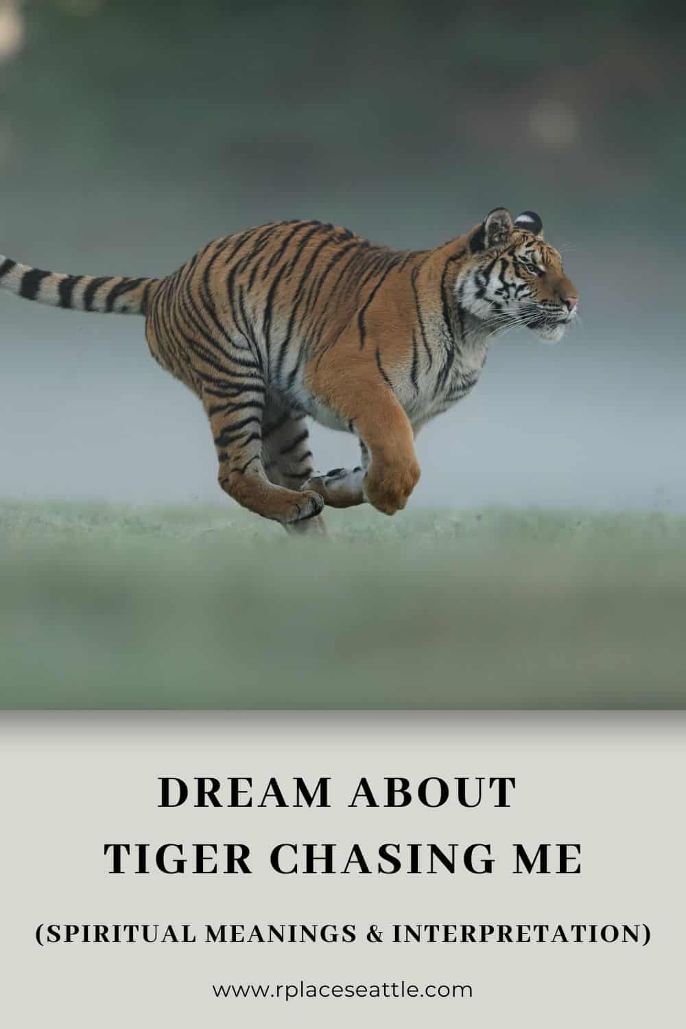 Dream About Tiger Chasing Me