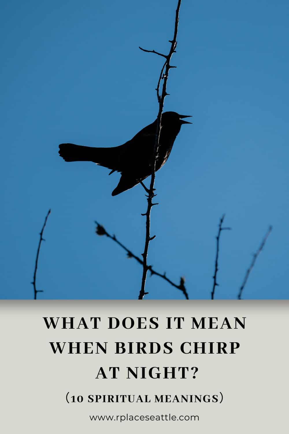 Spiritual Meaning of Birds Chirping at Night