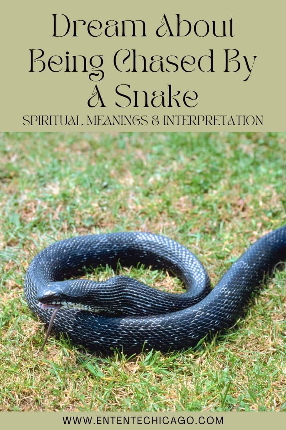 Dream About Being Chased By A Snake (Spiritual Meanings & Interpretation)