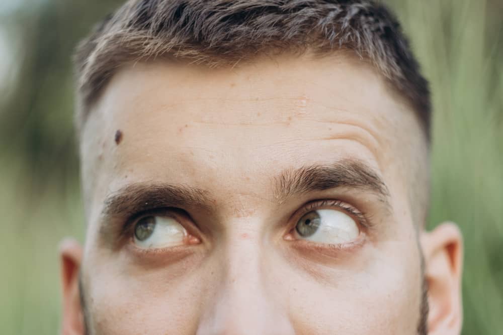 What Does it Mean When Your Left and Right Eyebrow Twitch? (14 Spiritual Meanings)