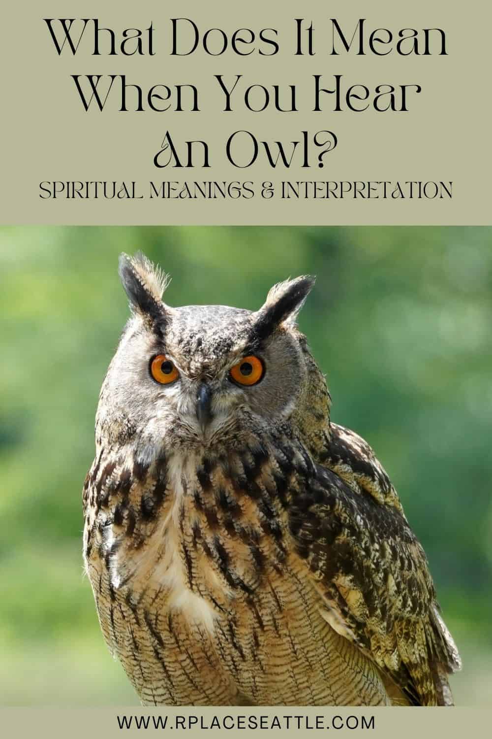 What Does It Mean When You Hear An Owl (Spiritual Meanings & Interpretation)v