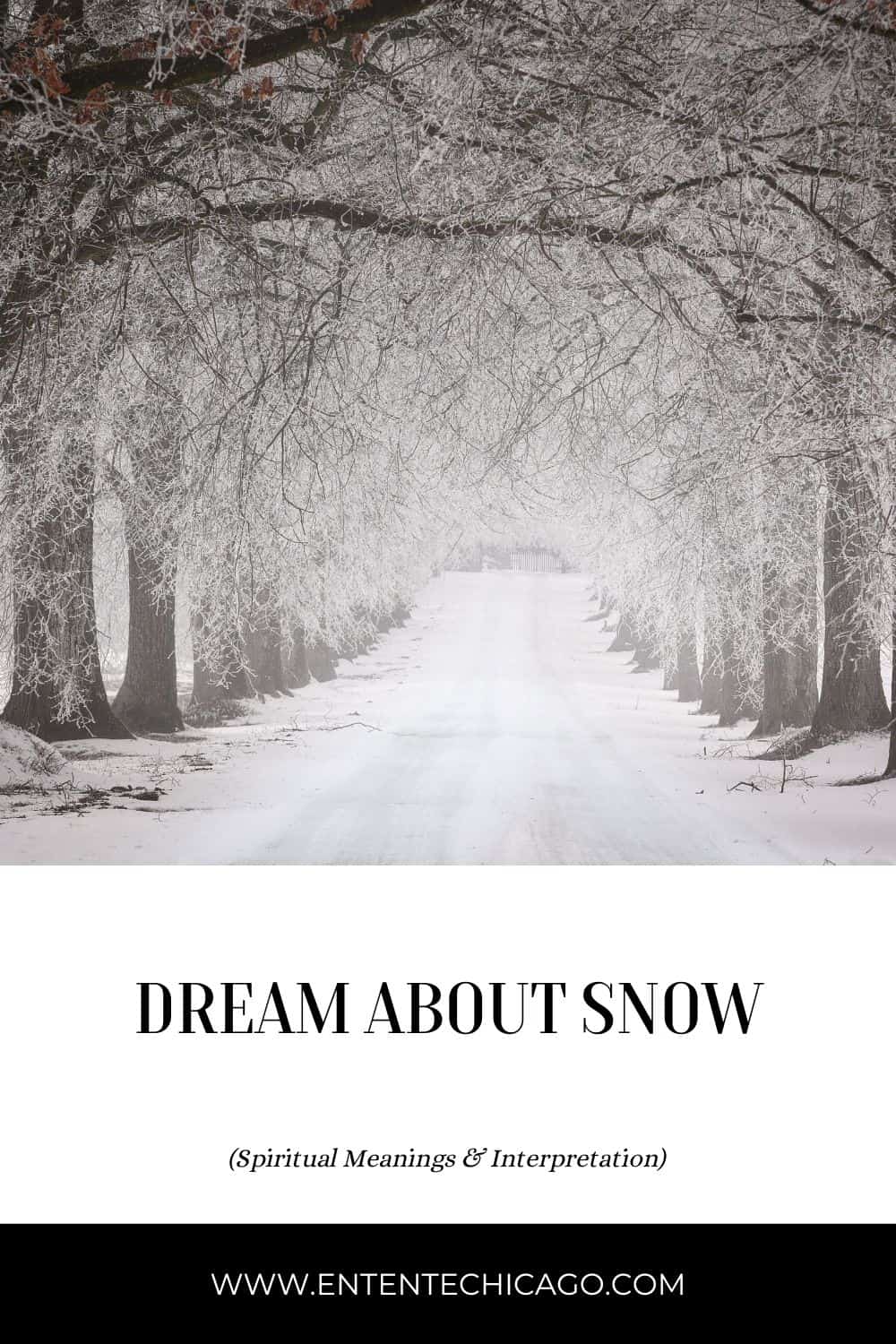 Spiritual Meanings of Snow Dreams
