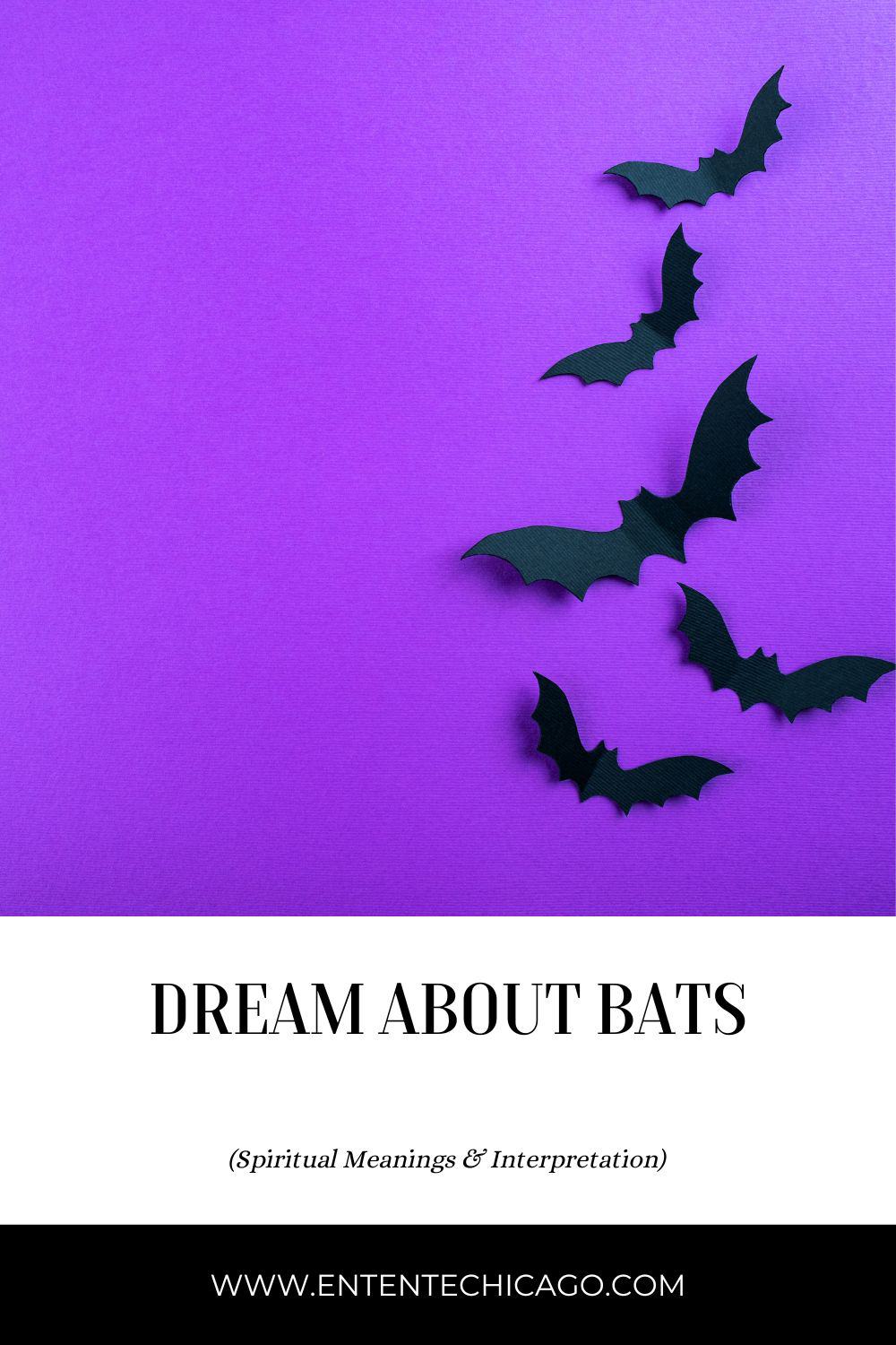 bat meanings