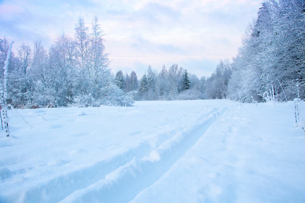 Dream About Snow (Spiritual Meanings & Interpretation)