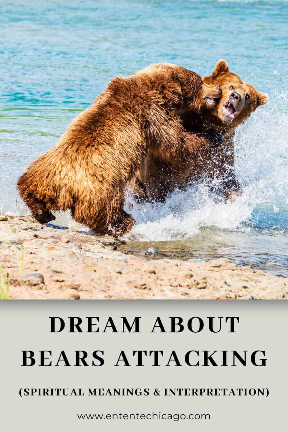 12 dream meanings of a bear attacking