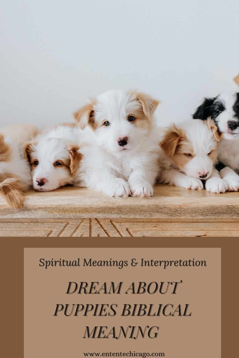8 Biblical Meaning of Puppies in Dreams