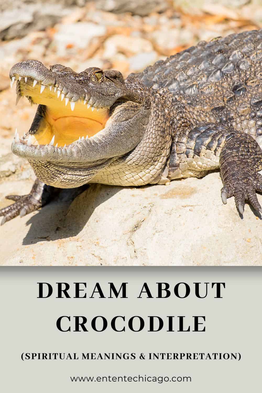 Crocodile Dreams