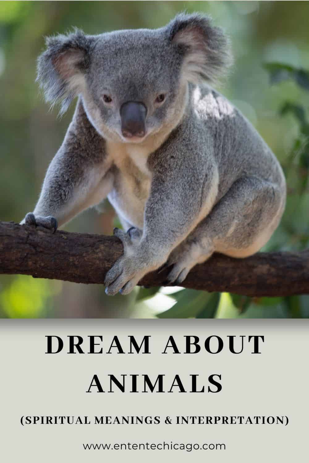 Dream About Animals (Spiritual Meanings & Interpretation)