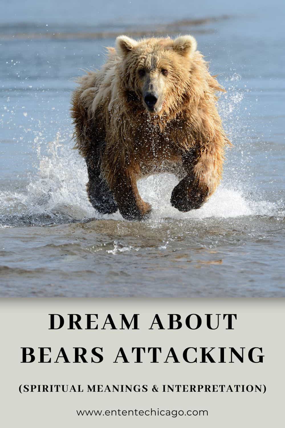 Dream About Bears Attacking (Spiritual Meanings & Interpretation)