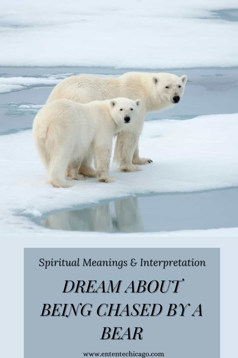 Dream About Being Chased By A Bear (Spiritual Meanings & Interpretation)