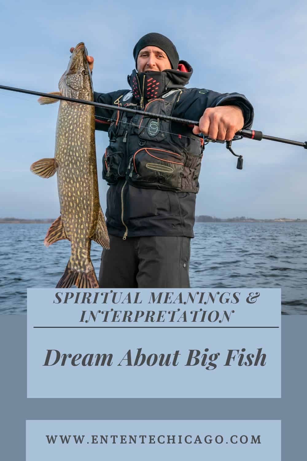 Dream About Big Fish (Spiritual Meanings & Interpretation)