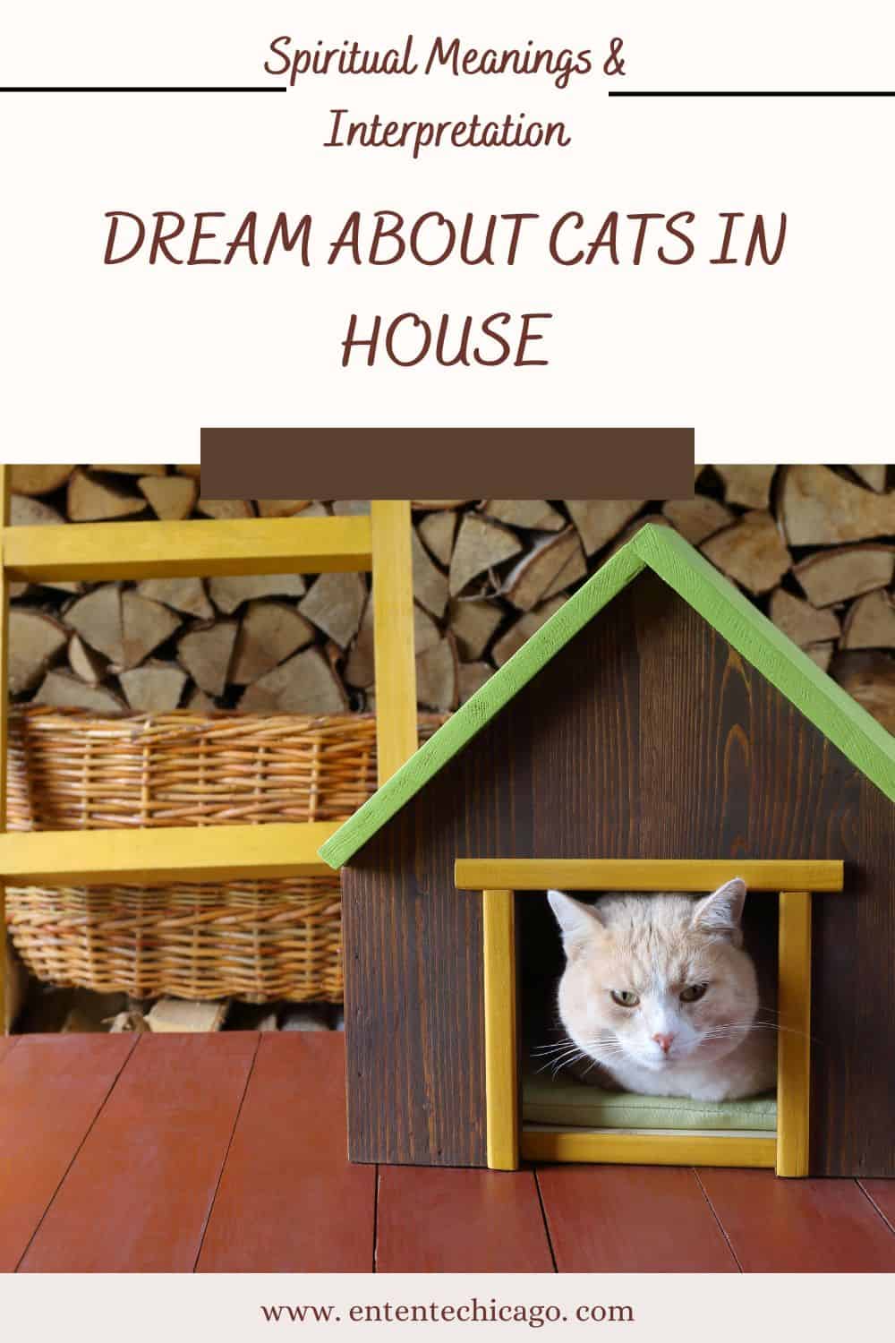 Dream About Cats In House (Spiritual Meanings & Interpretation)