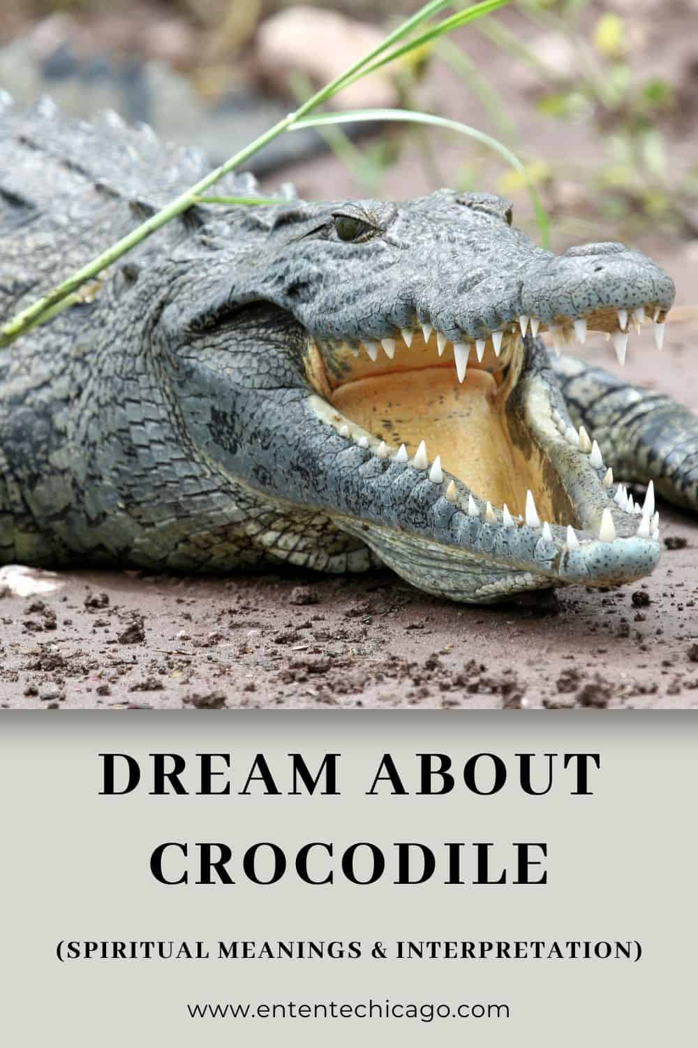 Dream About Crocodile (Spiritual Meanings & Interpretation)