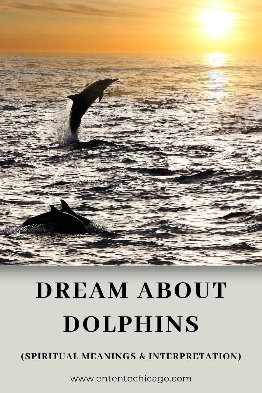 Dream About Dolphins (Spiritual Meanings & Interpretation)