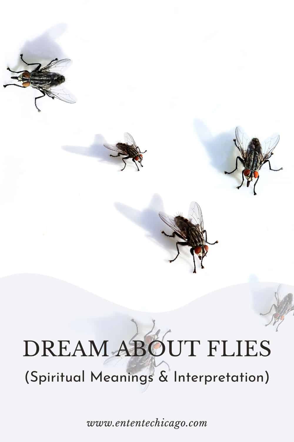 Dream About Flies (Spiritual Meanings & Interpretation)