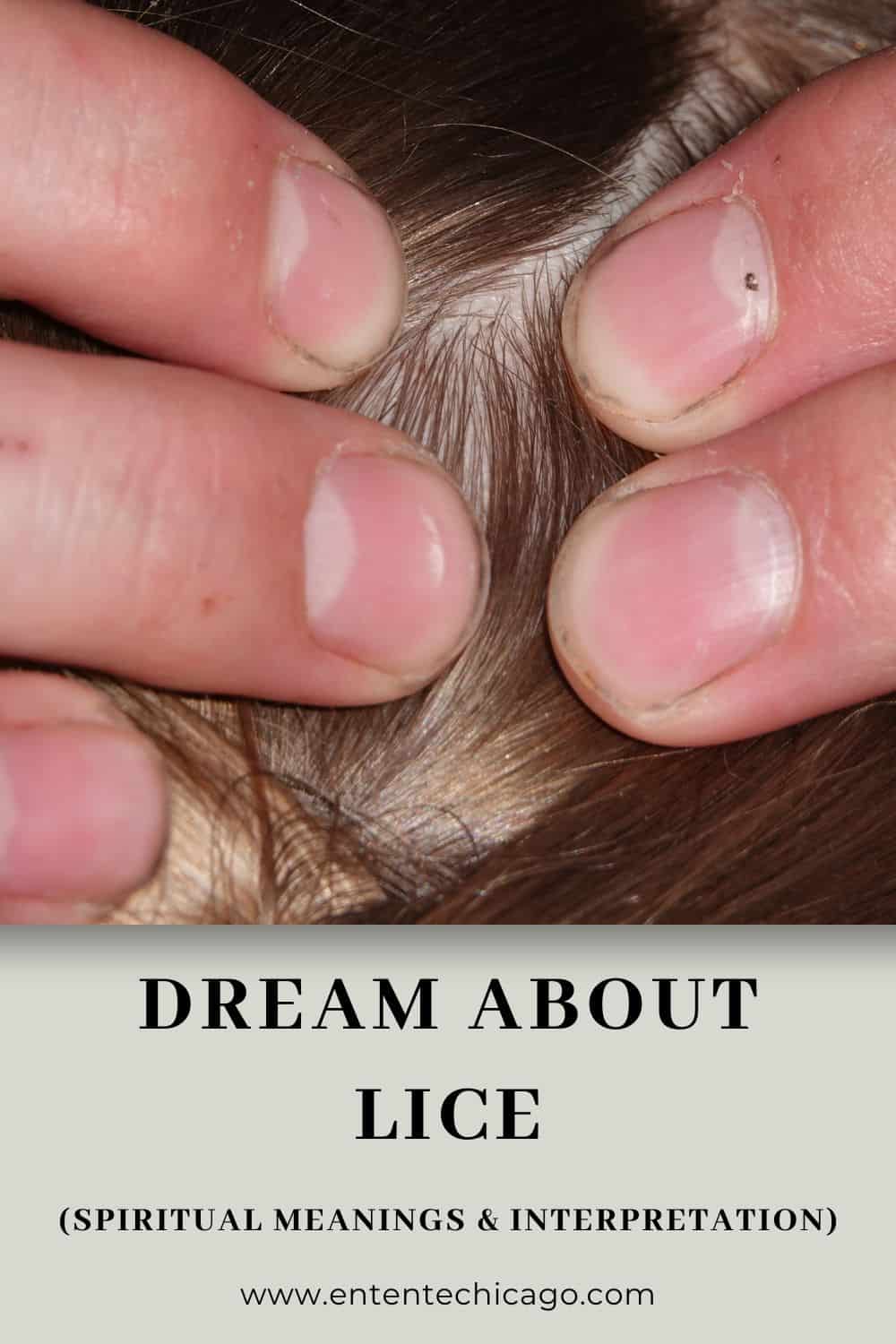 Dream About Lice (Spiritual Meanings & Interpretation)