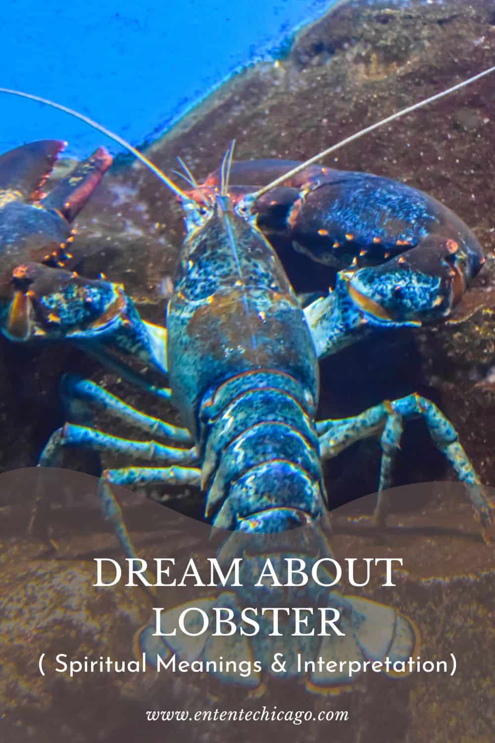 Dream About Lobster ( Spiritual Meanings & Interpretation)
