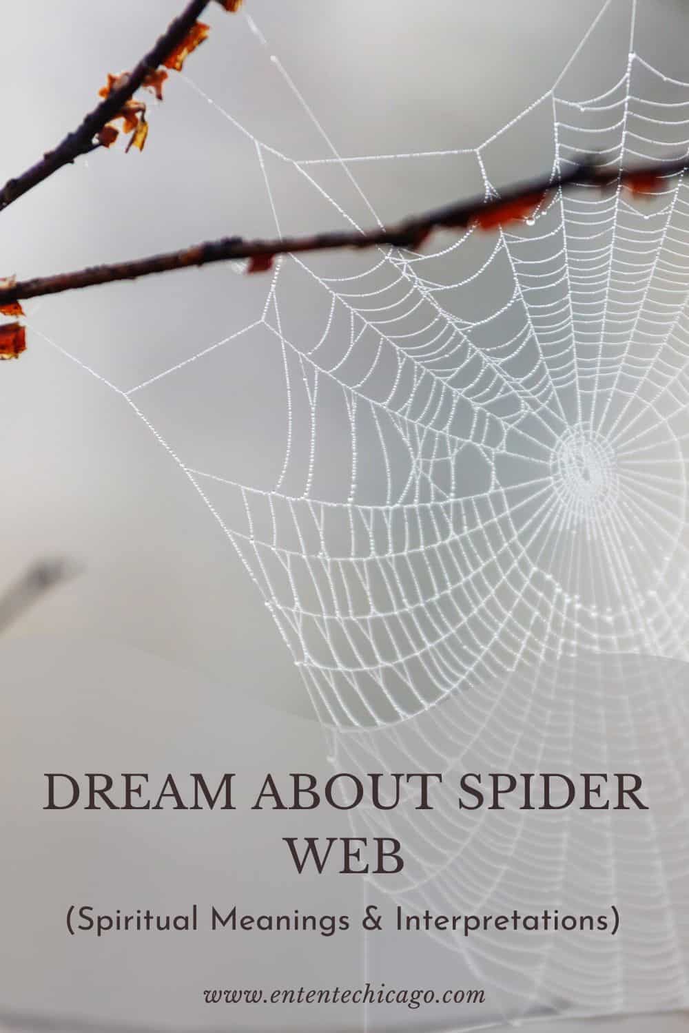 Dream About Spider Web (Spiritual Meanings & Interpretations)