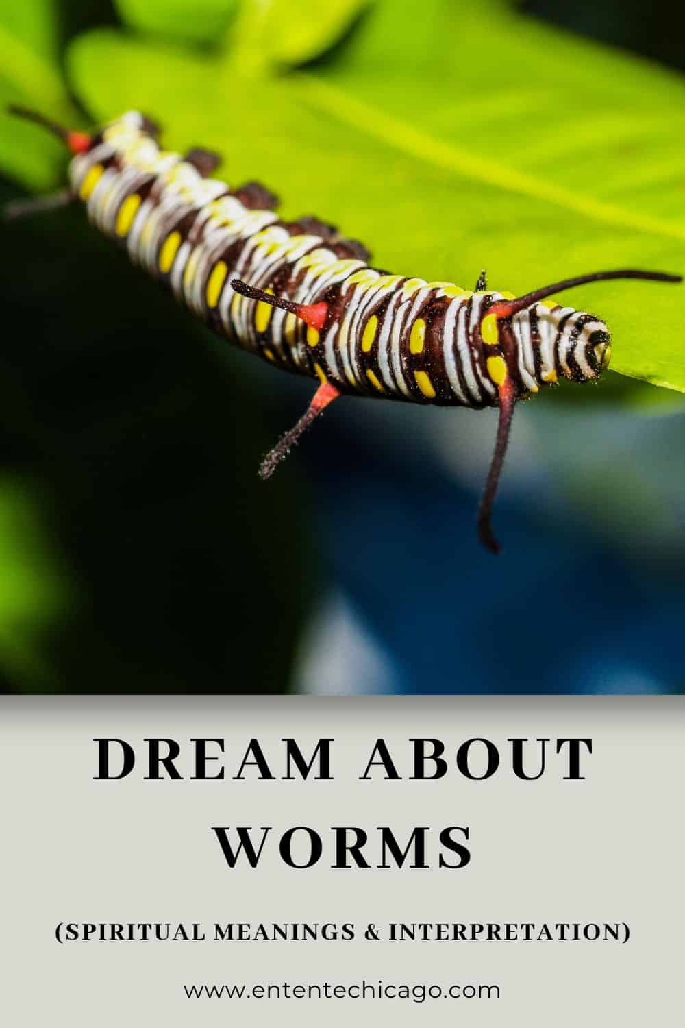 Dream About Worms (Spiritual Meanings & Interpretation)