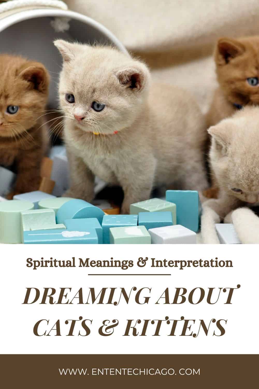 Dreaming About Cats and Kittens (Spiritual Meanings & Interpretation)