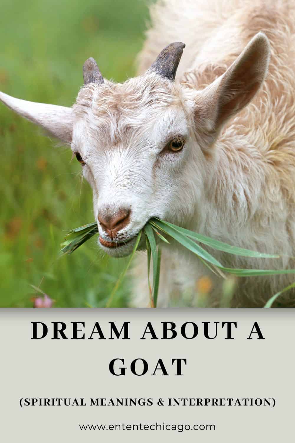 Interpreting a Dream of a Goat