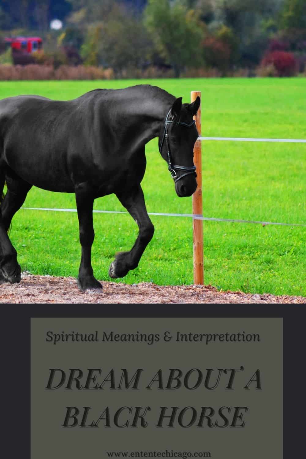 Spiritual Meanings Behind Dreaming About a Black Horse 