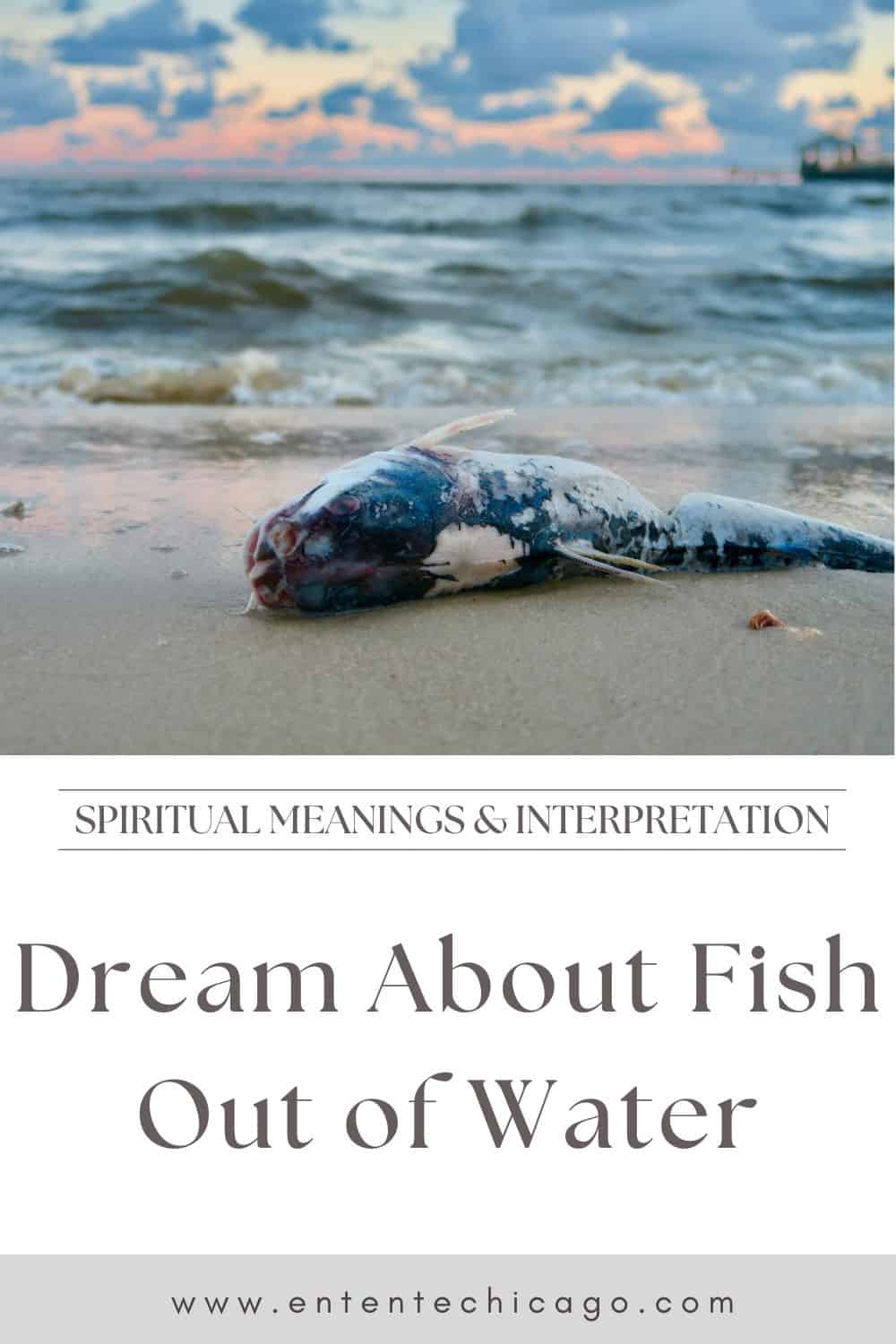 Spiritual Meanings When You Dream About Fish Out of Water