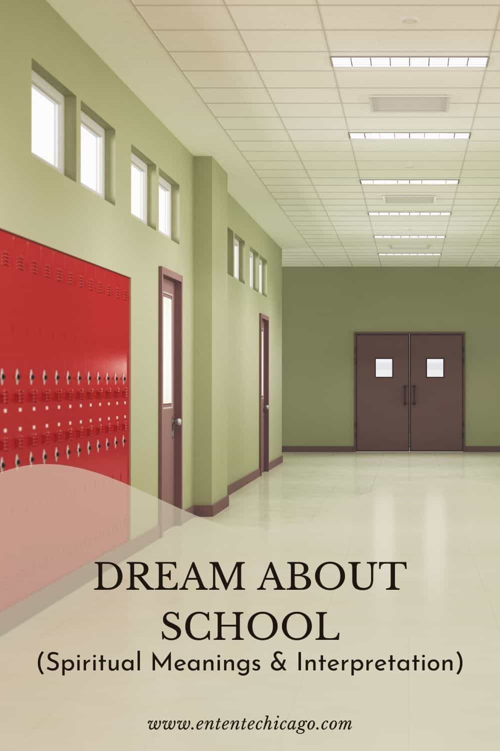 The meaning of a dream about school