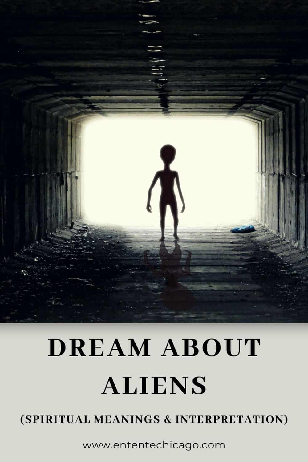 What Do Dreams About Aliens Mean