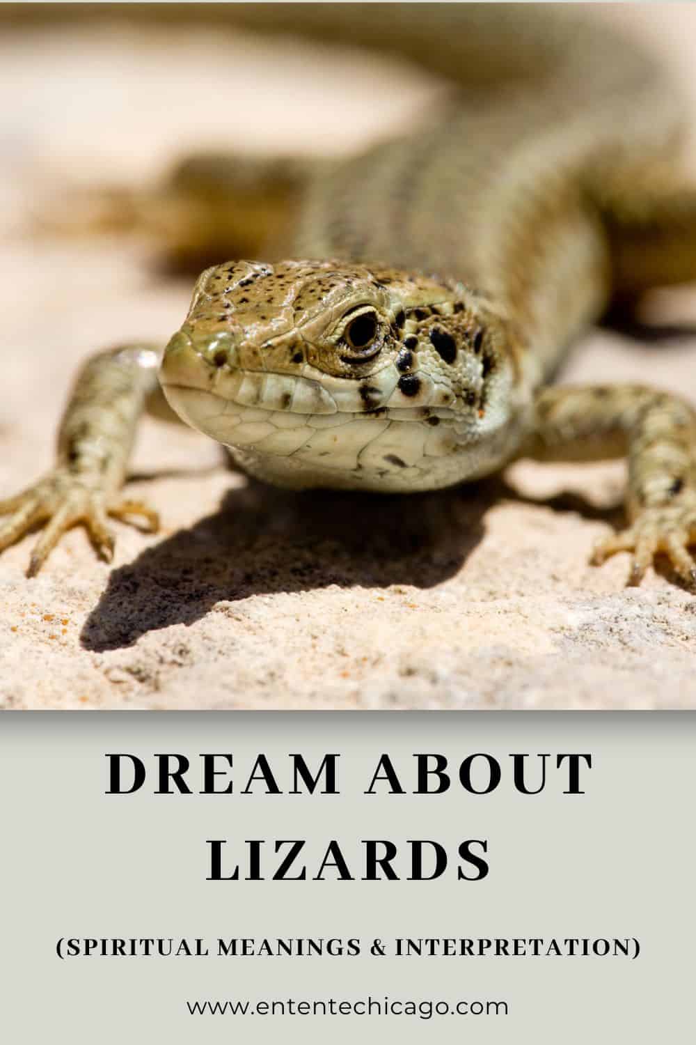 What Do Lizards Symbolize