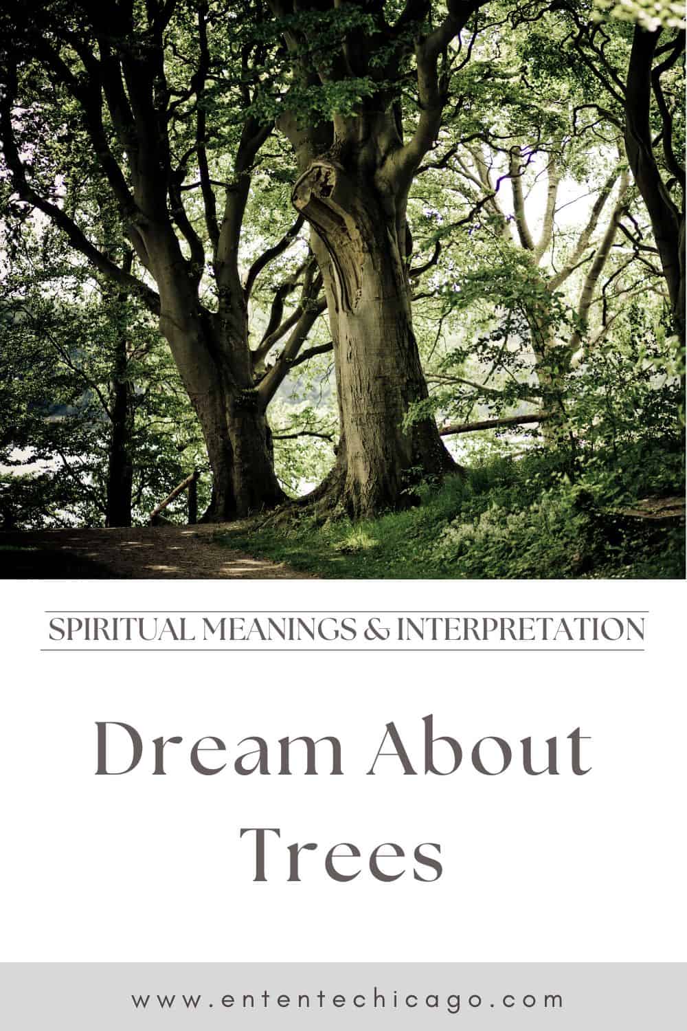 What Does It Mean When You Dream About Trees?