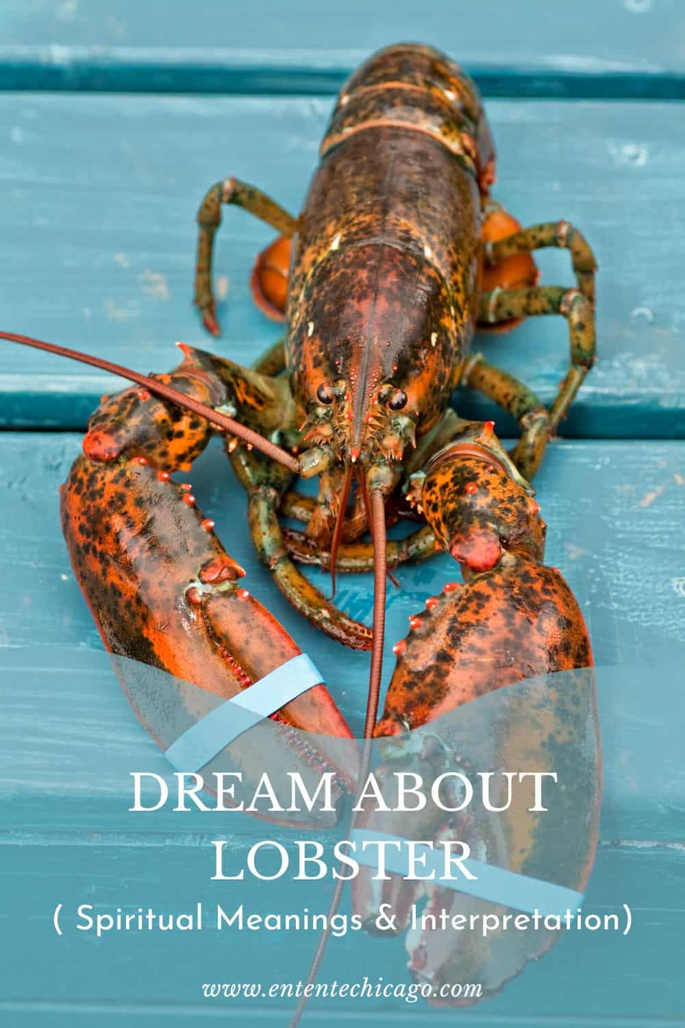 What does a dream about a lobster mean