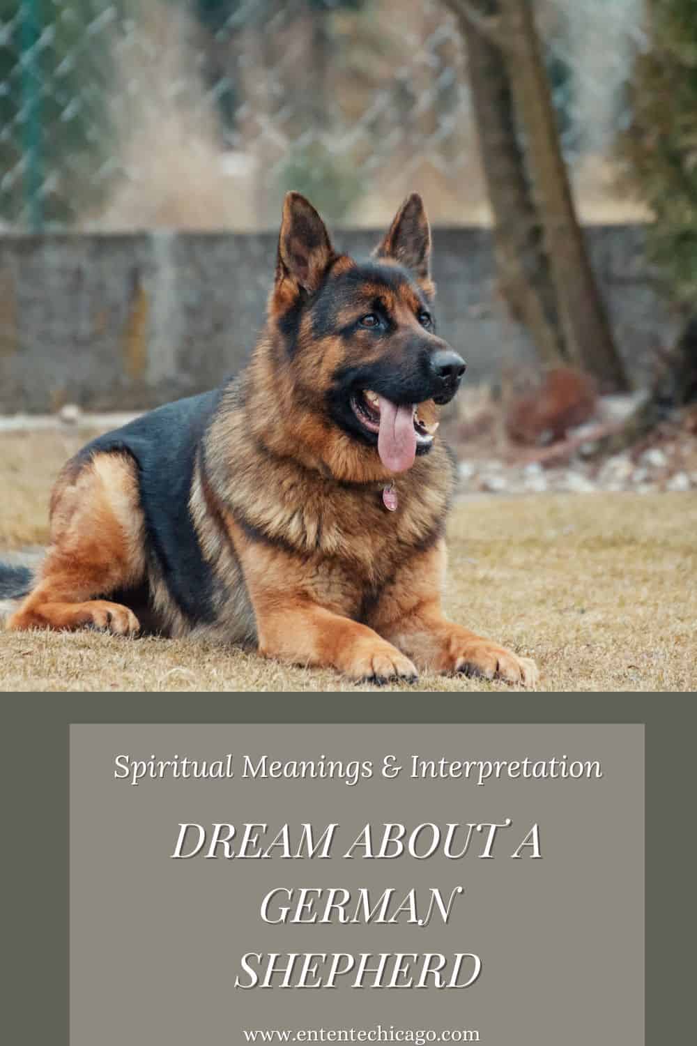 What does it mean when you dream about a German Shepherd?