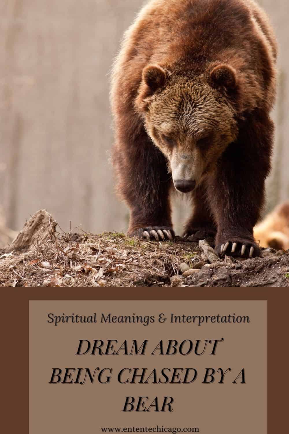What does it mean when you dream about being chased by a bear?