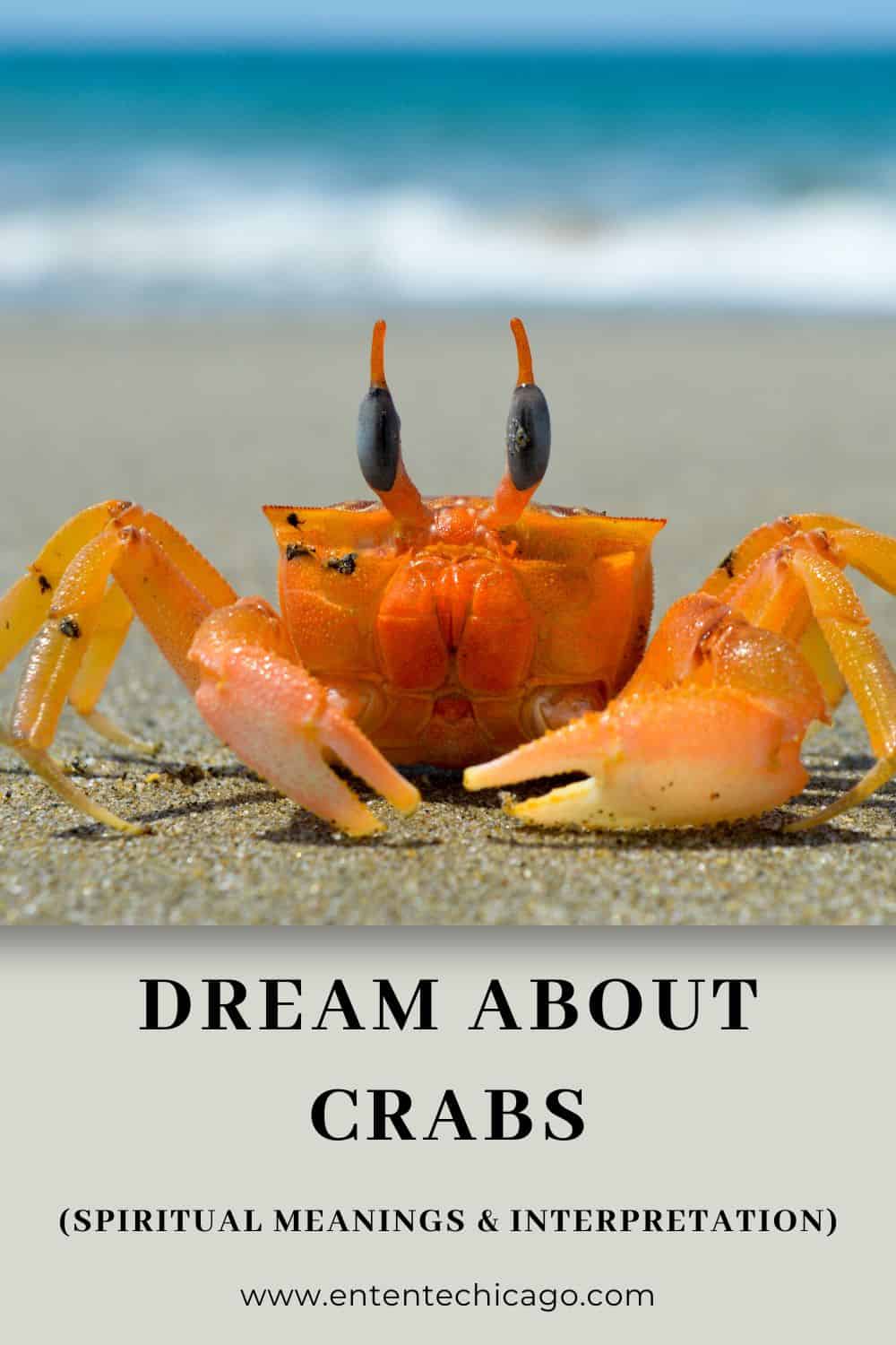 What does it mean when you dream about crabs