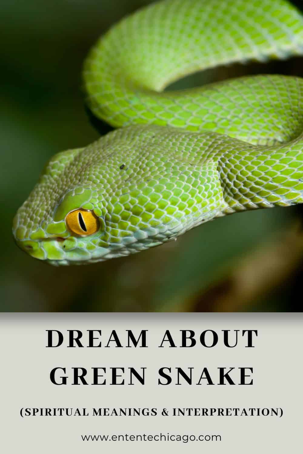 What does it mean when you dream about green snakes