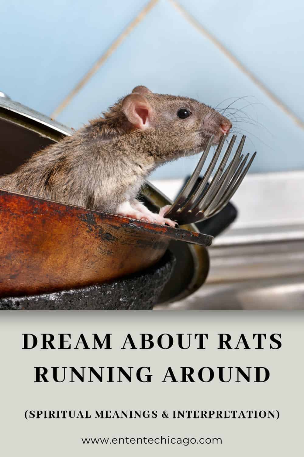 what does it mean to dream about rats running around