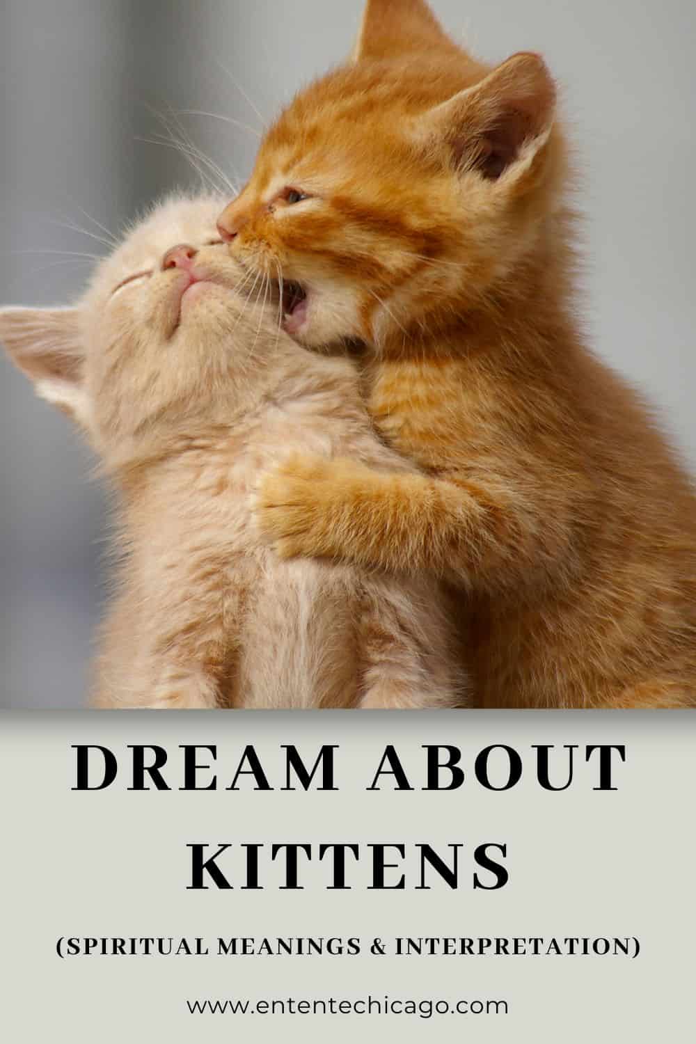 Dream About Kittens (Spiritual Meanings & Interpretation)