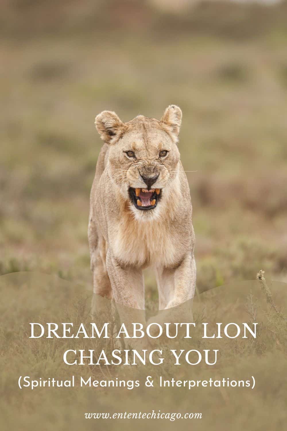 Dream About Lion Chasing You (Spiritual Meanings & Interpretations)