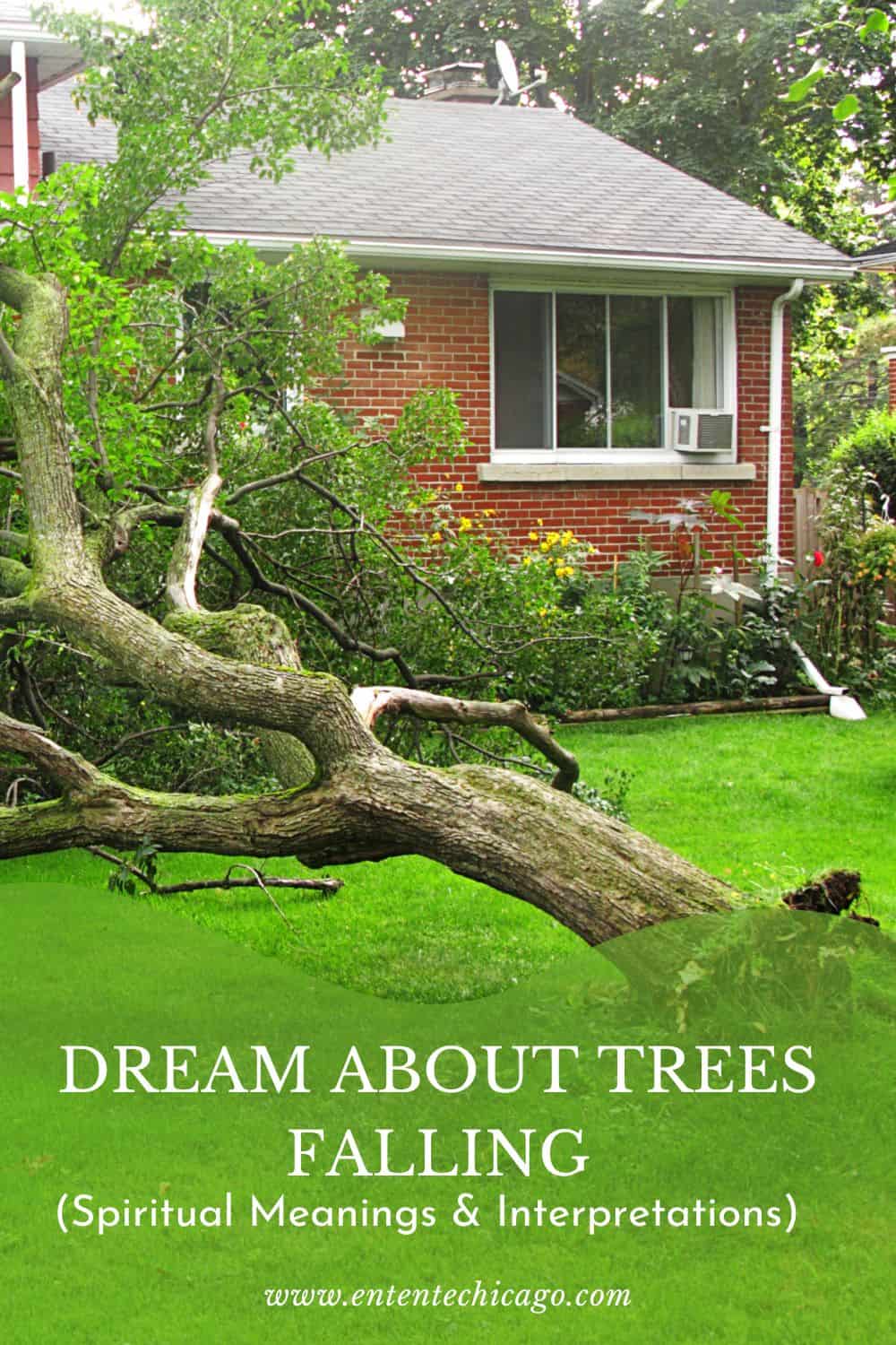 Dream About Trees Falling (Spiritual Meanings & Interpretations)