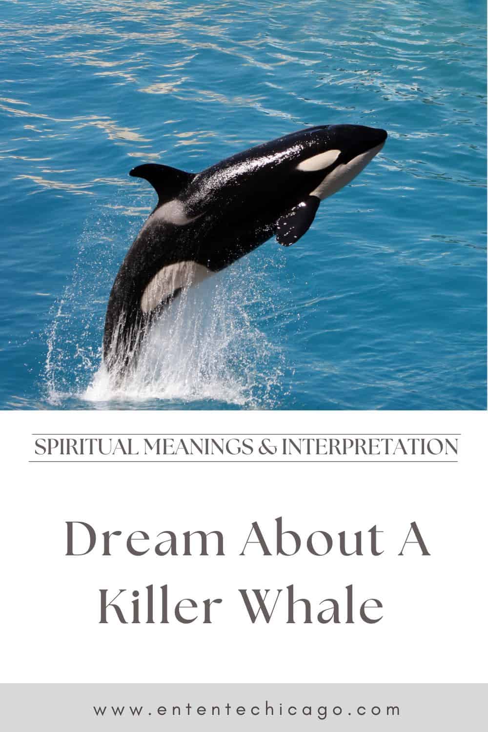 General Dream Interpretations About Killer Whales